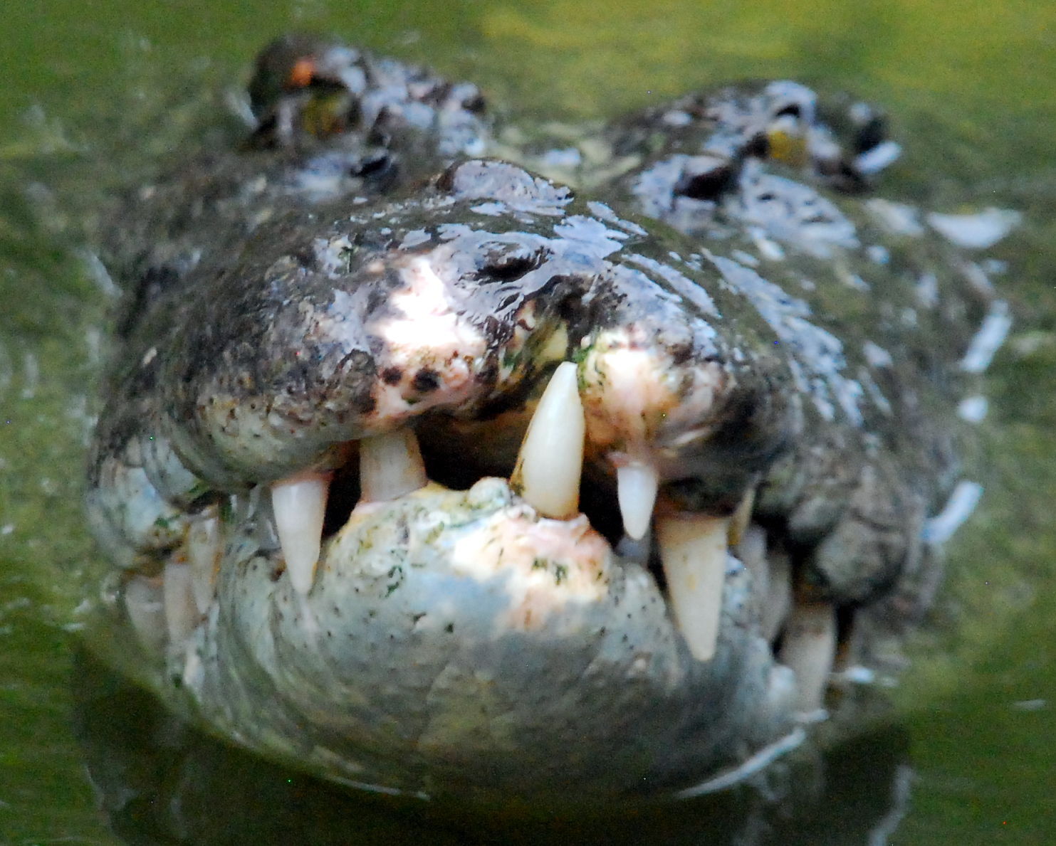 Smile for the camera!